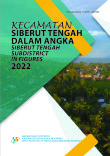 Kecamatan Siberut Tengah Dalam Angka 2022